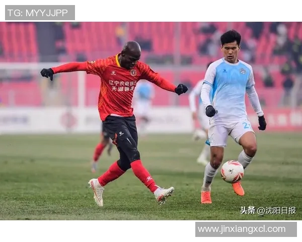辽宁足球明星全力备战老甲赛季展现拼搏精神与团队力量