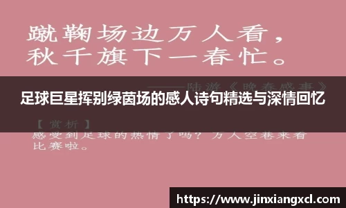 足球巨星挥别绿茵场的感人诗句精选与深情回忆