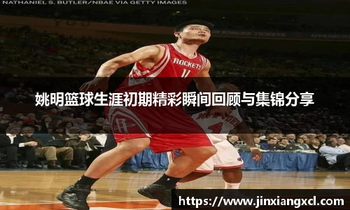 姚明篮球生涯初期精彩瞬间回顾与集锦分享