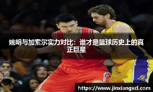 姚明与加索尔实力对比：谁才是篮球历史上的真正巨星